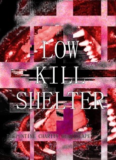 Paperback cover for Low Kill Shelter